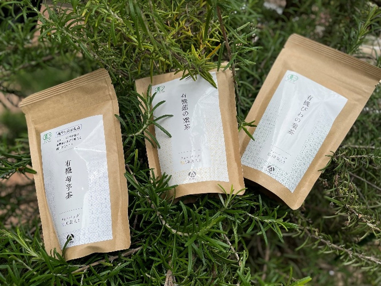 【有機】菊芋茶(ティーバッグ10袋入り)
