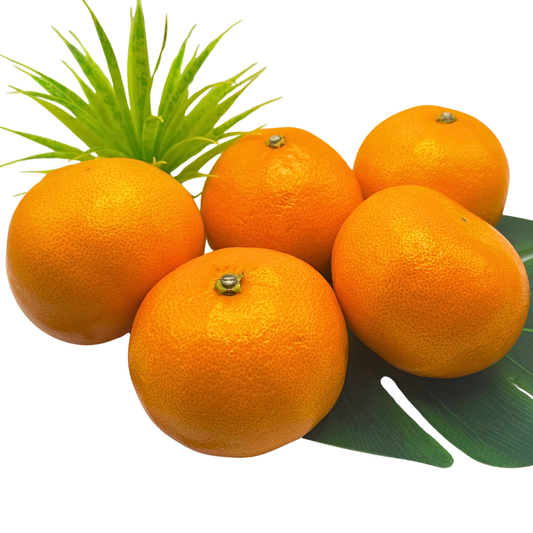 せとか1k強(Lサイズ4〜5個)【柑橘の大トロ】