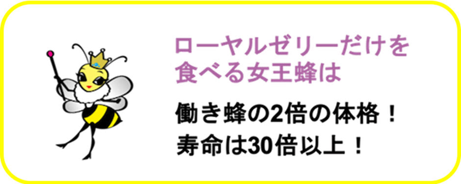 ローヤルカプセル