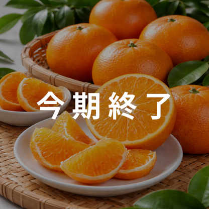 せとか1k強（Lサイズ4〜5個)【柑橘の大トロ】