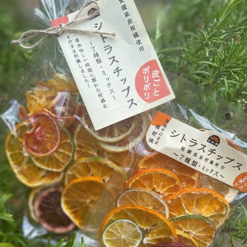 【無添加】シトラスチップス