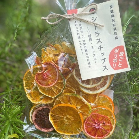 【無添加】シトラスチップス