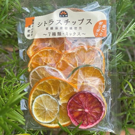 【無添加】シトラスチップス