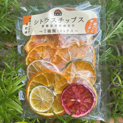 【無添加】シトラスチップス