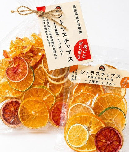 【無添加】シトラスチップス