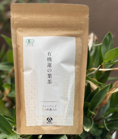【有機】はすの葉茶（ティーバッグ10袋入り）