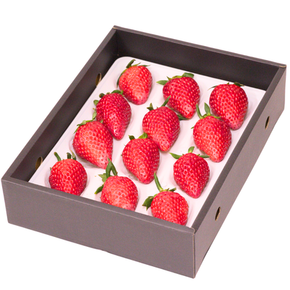 【期間限定】いちご「かなこまち」1箱（12〜15粒）