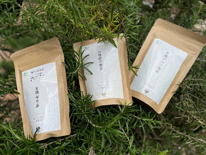 【有機】菊芋茶（ティーバッグ10袋入り）