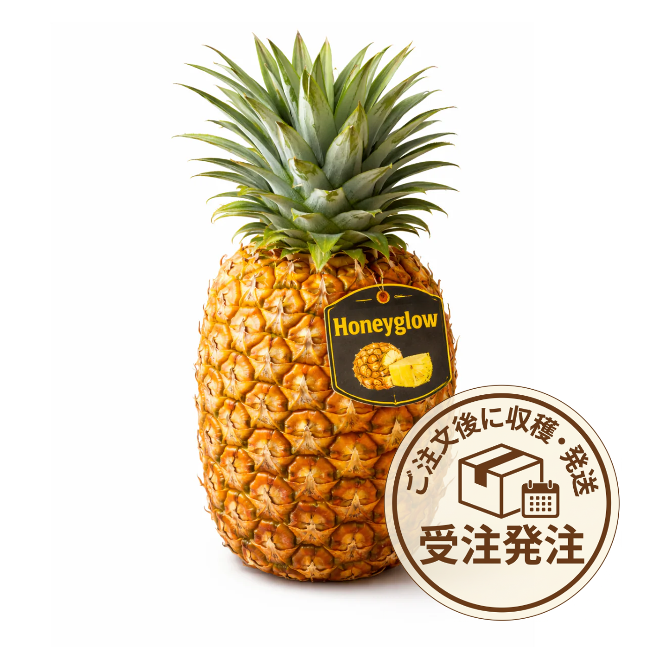 ハニーグローパイナップル3Lサイズ1玉（贈答品包装可）