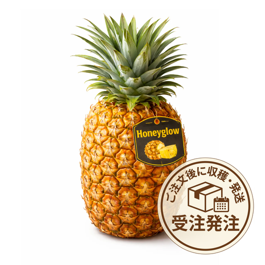 ハニーグローパイナップル3Lサイズ1玉（贈答品包装可）