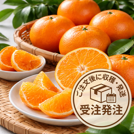 せとか1k強（Lサイズ4〜5個)【柑橘の大トロ】