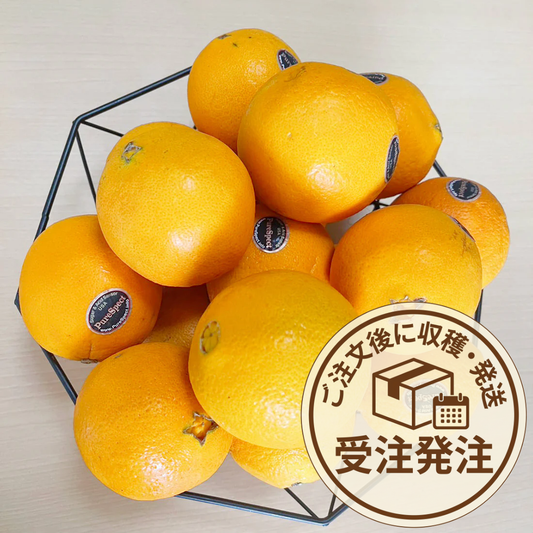 ぶすオレンジ2kg＋α（15個前後）