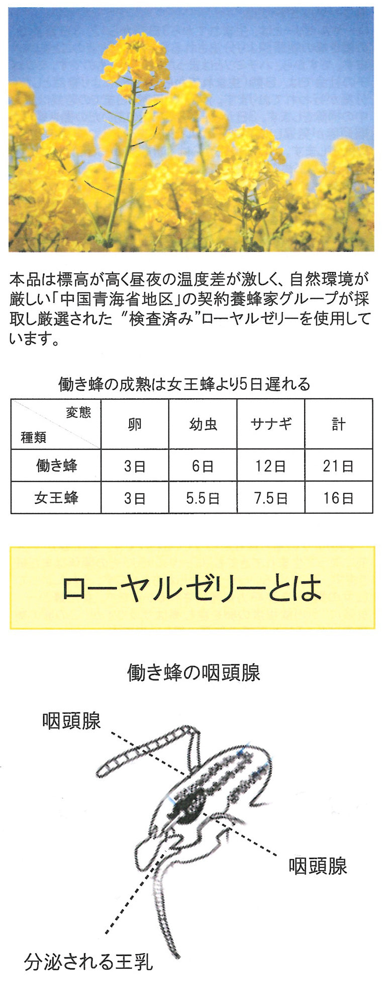 ローヤルカプセル – 嵐山グランマルシェ健康生活セレクトショップ