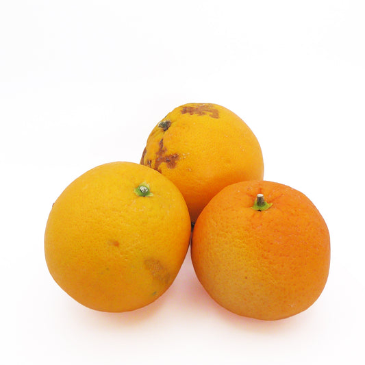 ぶすオレンジ　2kg＋α（15個前後）