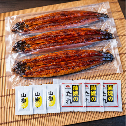 【贈答用】鹿児島県産 旨水の日本うなぎ蒲焼