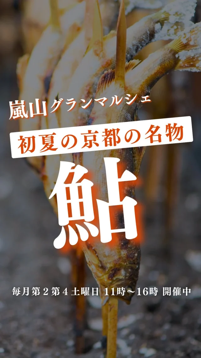 初夏の京都といえば…そう、鮎！
“香魚”とも呼ばれる鮎。
スイカのような香りがするって知ってましたか？
昔から鴨川や嵐山の川魚料理で愛されてきた、京都の夏の味覚

鮎は口を下にして、とろ火で長い時間水分を抜いて焼きます。
体表が黄色に輝くと見違えるように美味しくなって
臭みゼロで身が柔らかくて、とにかく絶品なんです。

今年もグランマルシェで、鮎が食べられる…かも！？
マルシェ前日に投稿の仕入れ速報をお見逃しなく！
次回マルシェは６月14日土曜日
鮎以外にも、どんな出会いがあるのかお楽しみに～♪

ーーーーーーーーーーーーーーーーーー

🍊嵐山グランマルシェ🍊
@arashiyama.gm
日時…6月14日土曜日
注意⚠️毎月第２第４土曜日の開催
11：00～16：00
雨天決行

場所…京都府西京区嵐山上海道町7-1
嵐山コミュニティハウス内

阪急嵐山線 嵐山駅から徒歩5分
谷ヶ辻町バス停から下車徒歩１分
※駐車スペースはございませんので
近隣駐車場または
公共交通機関をご利用ください🚙

#旬の食材を食べよう #京都おすすめグルメ #無農薬有機野菜 #無添加 #京都マルシェ #京野菜 #嵯峨嵐山 #嵐山コミュニティハウス #嵐山グランマルシェ