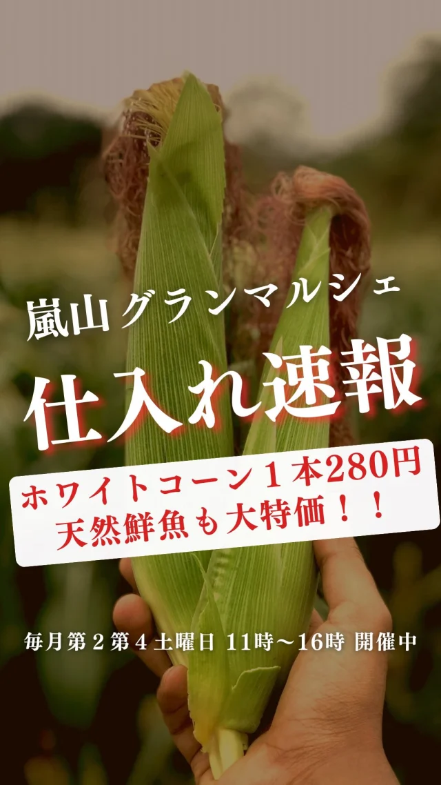 詳しい商品情報はコチラ↓

気になる商品を【お取り置き】や、
チラシ配布地域は配送料無料の【配達】をご希望の方は、
LINEへお気軽にメッセージしてみてくださいね🌟

★は目玉商品です。
（後ほどLINEで価格発表します✨）

★ホワイトスウィートコーン 280円/本
★レタス（大玉）180円/玉
★レッドキウイ（今期ラスト）100円/個
★キウイゴールド（３L特大サイズ）特価
★びわ　480円/パック
★バナナ　230円/袋
★マッシュルーム、びっくり価格
★ラディッシュ　60円/パック
★特大パプリカ（黄、赤）150円/個
★わさび菜　60円/袋
フルーツトマト（ももりこ）
75円/1個　1,700円/ケース

★岡山県産 天然ハマチ（刺身）
和歌山県産 天然カツオケンケン漁（刺身）
淡路島産 活〆コショウダイ（刺身）
三陸産 泳〆イシガレイ（刺身）
九十九里産 活ハマグリ
鮎
どんちっちアジ
ヒラメ（切身・刺身）
真鯛（切身・刺身）
カンパチ（切身）
活〆イサキ
馬刺し

コロッケ（栗かぼちゃ、牛肉）100円
イワシフライ　90円/枚
自家製　鯛煮付け

————————————
🍊嵐山グランマルシェ🍊
@arashiyama.gm
日時…6月14日土曜日
注意⚠️毎月第２第４土曜日の開催
11：00～16：00
雨天決行

場所…京都府西京区嵐山上海道町7-1
嵐山コミュニティハウス内

阪急嵐山線 嵐山駅から徒歩5分
谷ヶ辻町バス停から下車徒歩１分
※駐車スペースはございませんので
近隣駐車場または
公共交通機関をご利用ください🚙

#旬の食材を食べよう #京都おすすめグルメ #無農薬有機野菜 #無添加 #京都マルシェ #京野菜 #嵯峨嵐山 #嵐山コミュニティハウス #嵐山グランマルシェ