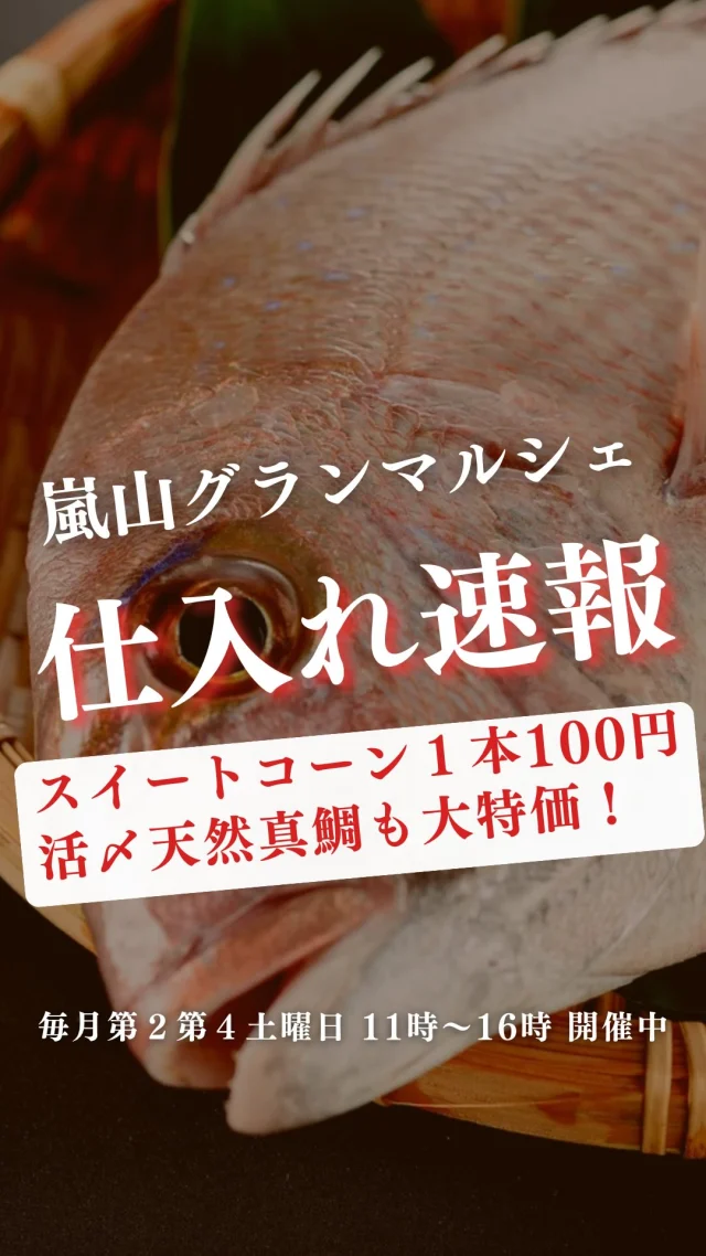 ▼詳しくはこちら▼
明日のおすすめ商品をご紹介！
お取り置きや配達ご希望の方は、お気軽にLINEにメッセージしてみてくださいね。

今季初
自家製かき氷（モナンシロップ）200円/杯

🍇
生プルーン（長野県産）590円
ぶすマンゴー500円/P（4〜5入）
（和歌山県産）いちじく690円
ゴールドキウイ
パイナップル（ハニーグロー）
・カットパイン　200円
・1玉（3Lサイズ）　980円
バナナ　198円/袋

⭐スイートコーン🌽1本　100円‼️
レタス180円
小松菜　100円
ほうれん草　100円
⭐白ネギ　1本　50円‼️
⭐大根　特価‼️ 
枝豆（山形さがえ産

🍙
栗かぼちゃコロッケ　100円
野菜コロッケ　100円
オレンジ香るキャロットラペ　
【自家製】梅ひじき炊き込みご飯　250円
⭐【自家製】しらすふりかけ　100円
大アジフライ　560円/枚
イワシフライ　120円/枚

🐟
タチウオ切身
岩牡蠣Sサイズ　380円/個
貝付き生ホタテ　390円/枚
（淡路島産）活〆天然真鯛切身　260円/切
カンパチ切身　210円/切
大羽イワシ　120円/尾
炙り〆サバ　480円/半身
鮎　320円/尾
生サバ　850円/尾
生スルメイカ　380円/尾
（鹿児島県産）活〆天然カツオ　刺身
（千葉県産）天然ハマチ　刺身
真鯛刺身
国産アトランティスサーモン　刺身

ーーーーーーーーーーーーーーーーーー
🍊嵐山グランマルシェ🍊
@arashiyama.gm
日時…8月9日土曜日
注意⚠️毎月第２第４土曜日の開催
11：00～16：00
雨天決行

場所…京都府西京区嵐山上海道町7-1
嵐山コミュニティハウス内

阪急嵐山線 嵐山駅から徒歩5分
谷ヶ辻町バス停から下車徒歩１分
※駐車スペースはございませんので
近隣駐車場または
公共交通機関をご利用ください🚙

#旬の食材を食べよう #京都おすすめグルメ #無農薬有機野菜 #無添加 #京都マルシェ #京野菜 #嵯峨嵐山 #嵐山コミュニティハウス #嵐山グランマルシェ