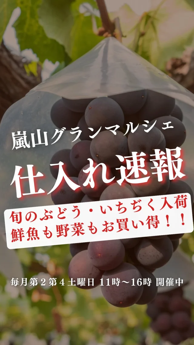🍇🍇
藤稔ぶどう（山梨県産）　1,200円❗️
生プルーン（長野県産、ローブド）590円❗️
秋栄ナシ（大分県産）280円❗️
いちぢく（和歌山県産）590円❗️

🍆🌽
長茄子（3〜4本入）260円
モロヘイヤ　180円
エビスかぼちゃ（1/4）250円
イエロースウィートコーン280円🌽
ホワイトスウィートコーン250円🌽
赤、黄パプリカ（肉厚3L）198円
ホワイトマッシュルーム　60円🍄❗️
小松菜100円❗️
ほうれん草100円❗️
グリーンリーフ　198円
サニーレタス198円

🍱🍚
ソース焼きそば350円
ラム肩ロース765円〜
自家製炊き込みご飯（鶏ごぼう）250円
自家製コロッケ（カレー、牛肉）100円
自家製サーモンフライ
自家製イワシフライ　140円
鶴橋豊田商店白菜キムチ　250円
自家製かき氷　200円
無農薬有機　プチトマト100円❗️

🐟🐟
活ハモ湯引き480円
鮎320円
大羽イワシ120円
生スルメイカ290円
活タコ和歌山刺身
本マグロ中トロ刺身
活〆天然カンパチ長崎刺身
国産アトランティックサーモン刺身
天然カツオ長崎刺身
貝付ほたて380円
岩牡蠣S380円
活〆天然タイ長崎 1.3kg位
生サバ和歌山700g位850円

🌟そして第4土曜日のマルシェでは
Instagram限定！特別企画を実施しています。
砂糖不使用の自家製ドライフルーツをレジにてプレゼント🍊

🍊🍊参加方法🍊🍊
DMに「ドライフルーツ」と送って
第４土曜日！にご来店いただくだけ🙌
レジでアカウント名をお伝えください！
自家製ドライフルーツをお渡しします。

もしかすると、嬉しくなっちゃったスタッフから
さらにオマケを貰えるかも…🤭

ご来店お待ちしております！

ーーーーーーーーーーーーーーーーーー
嵐山グランマルシェ🌻
@arashiyama.gm
日時…8月23日土曜日
注意⚠️毎月第２第４土曜日の開催
11：00～16：00
雨天決行

場所…京都府西京区嵐山上海道町7-1
嵐山コミュニティハウス内

阪急嵐山線 嵐山駅から徒歩5分
谷ヶ辻町バス停から下車徒歩１分
※駐車スペースはございませんので
近隣駐車場または
公共交通機関をご利用ください🚃

#旬の食材を食べよう #京都おすすめグルメ #無農薬有機野菜 #無添加 #京都マルシェ #京野菜 #嵯峨嵐山 #嵐山コミュニティハウス #嵐山グランマルシェ