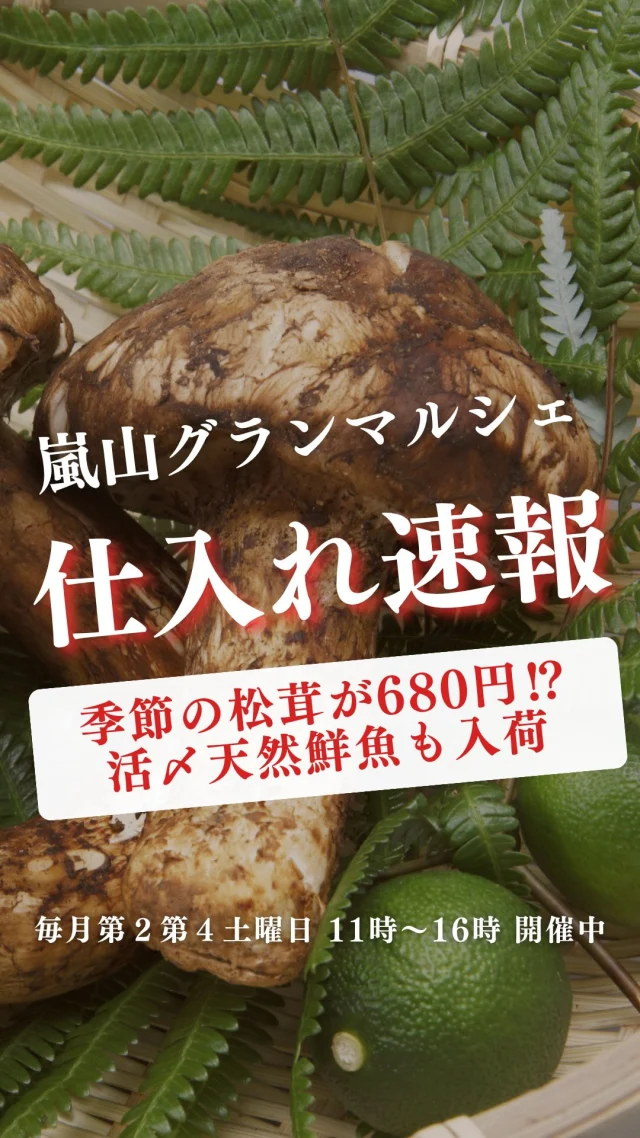 明日はマルシェ開催日!
商品の詳細はコチラから▼
天然よこわ宮城刺身
真鯛刺身
活〆天然ぶり鳥取刺身
国産アトランティックサーモン刺身
マダコ瀬戸内刺身
うなぎ蒲焼鹿児島
生ウルメイワシ高知
刺身用アジ30㌢佐賀
ワカサギ
たらこ1P290
ヤリイカ刺身
九十九里産 活ハマグリ
自家製炊き込みご飯(きのこ)260円
自家製黒毛和牛とごぼうの炒め煮
ひじき煮
エアフライコロッケ(栗かぼちゃ・野菜)100円/個
エアフライイカ下足 200円/個
ラム肉フレンチラック(骨付き)
ズッキーニ 100円/本
ジャンボマッシュルーム 200円/パック
(卸値330円の品!肉詰め等に最適)
松茸 680円~/本
大根ハーフ 200円/半分
小松菜 100円/袋
ほうれん草 100円/袋
青ネギ 大特価
長野県産クイーンルージュ 1600円/房
(皮ごと食べれる種なしぶどう) 
スチューベンぶとう 600円/房
いちじく 550円
福岡県産 早味かん
~~~~~~~~~
他にも色々ございます!
当日朝には、LINE VOOMで売り場写真を更新します。
お気に入り商品があれば、LINEへメッセージしてお取り置きをご利用くださいね。
お買い物以外にも面白いことがあるかも!?
遊びに来てみてくださいね🍂
ーーーーーーーーーーーーーーーーーー
🍊嵐山グランマルシェ🍊
@arashiyama.gm
日時…10月11日土曜日
注意⚠️毎月第2第4土曜日の開催
11:00~16:00
雨天決行
場所…京都府西京区嵐山上海道町7-1
嵐山コミュニティハウス内
阪急嵐山線 嵐山駅から徒歩5分
谷ヶ辻町バス停から下車徒歩1分
※駐車スペースはございませんので
近隣駐車場または
公共交通機関をご利用ください
#嵐山グランマルシェ