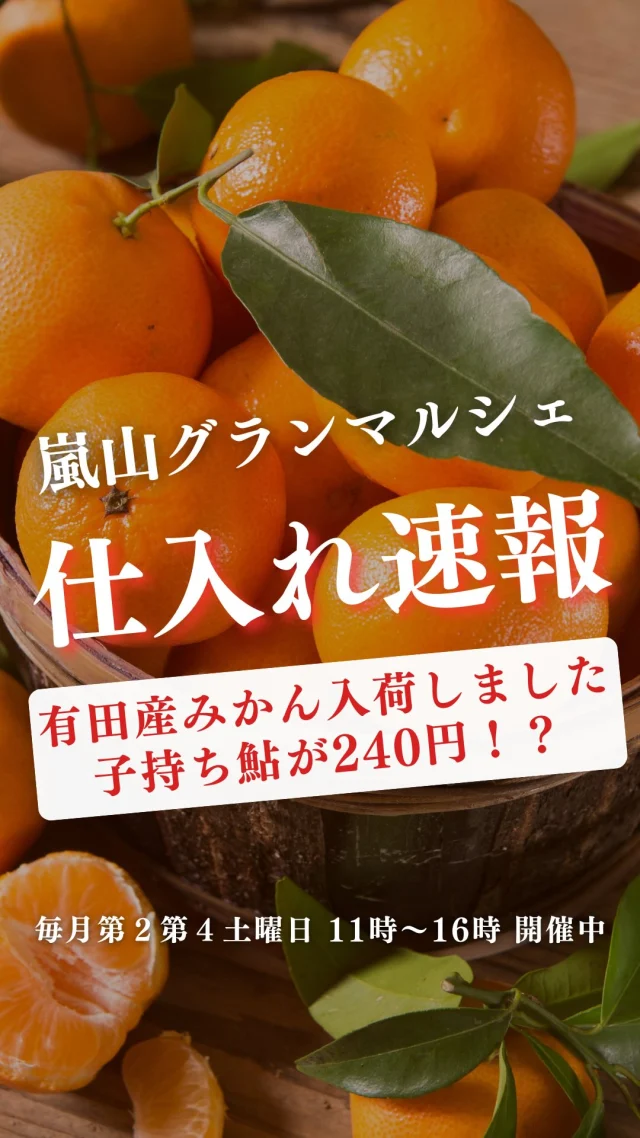 詳しくはこちら↓
明日はマルシェ開催日!
動画で載せきれなかった商品をご紹介
🍣**魚介・海鮮**
真鯛切身/活〆天然ぶり函館刺身/国産アトランティックサーモン刺身/銀タラ味噌漬け/子持ち鮎240円
🍱**惣菜・自家製シリーズ**
自家製炊き込みさつまいもご飯260円/自家製ワカサギの南蛮漬け/自家製アジフライ870円/自家製サーモン串フライ390円/コロッケ(栗かぼちゃ)100円
🥩**肉類**
ラム肉フレンチラック(骨付き)/雲仙しまばら鶏骨付き365円〜
🍊**果物**
和歌山県有田産みかん(5個)特価/青森県産りんご(早生フジ)/フルーツトマト1箱1,500円・バラ110円/いちぢく550円
🥦**野菜**
黄色ズッキーニ130円/パプリカ黄色100円/赤ピーマン特価/小松菜100円/里芋特価
🌟そして第4土曜日のマルシェでは
Instagram限定!特別企画を実施しています。
砂糖不使用の自家製ドライフルーツをレジにてプレゼント🍊
🍊🍊参加方法🍊🍊
DMに「ドライフルーツ」と送って
第4土曜日!にご来店いただくだけ🙌
レジでアカウント名をお伝えください!
自家製ドライフルーツをお渡しします。
もしかすると、嬉しくなっちゃったスタッフから
さらにオマケを貰えるかも…🤭
ご来店お待ちしております!
ーーーーーーーーーーーーーーーーーー
🍊嵐山グランマルシェ🍊
@arashiyama.gm
日時…10月25日土曜日
注意⚠️毎月第2第4土曜日の開催
11:00~16:00
雨天決行
場所…京都府西京区嵐山上海道町7-1
嵐山コミュニティハウス内
阪急嵐山線 嵐山駅から徒歩5分
谷ヶ辻町バス停から下車徒歩1分
※駐車スペースはございませんので
近隣駐車場または
公共交通機関をご利用ください🚙
#嵐山グランマルシェ
